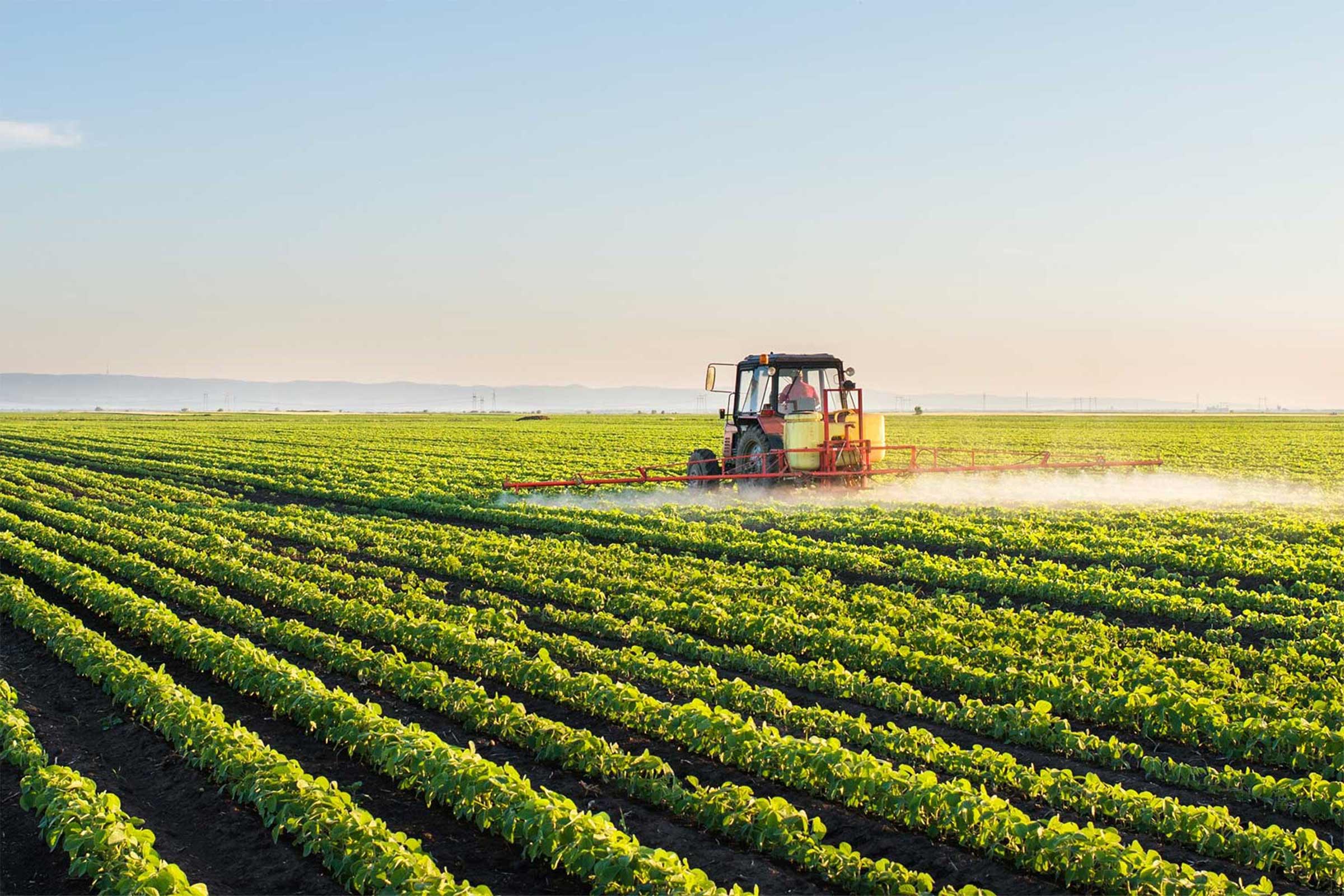 The Future Of Agriculture Insight Charles Sturt University