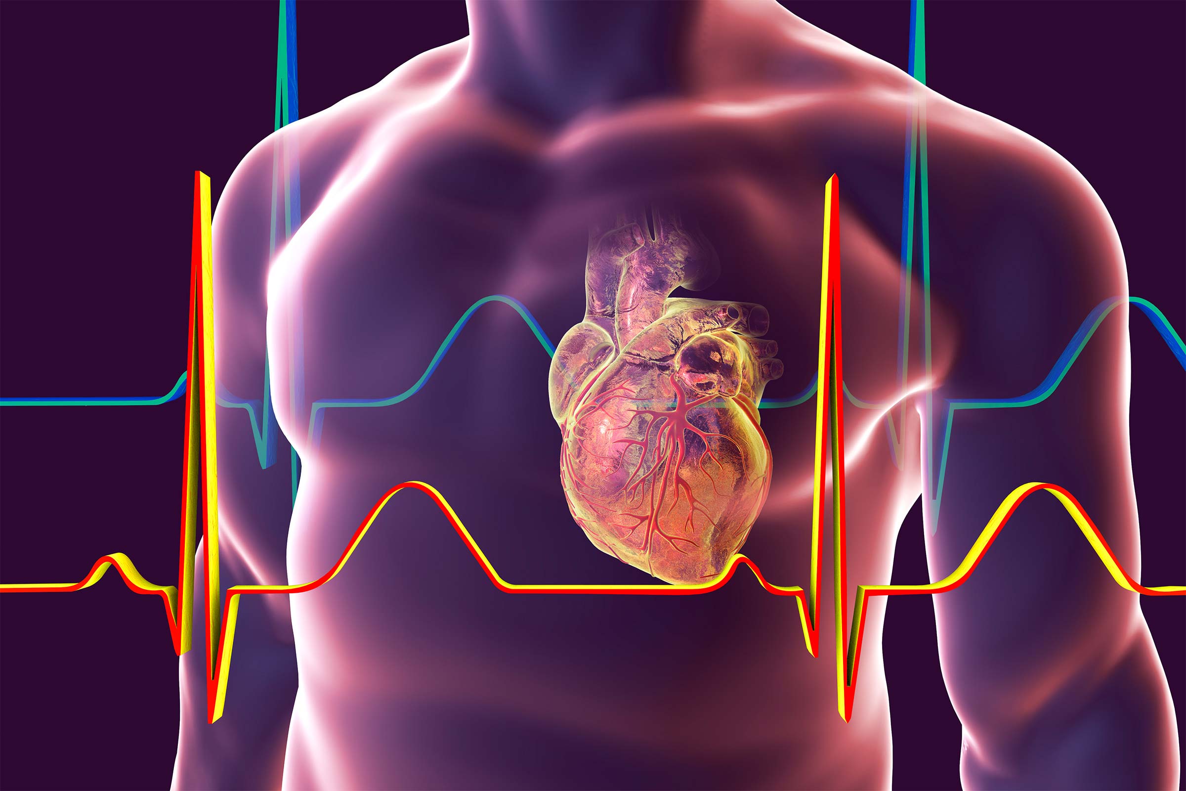 CSU Big Questions Can you predict a heart attack