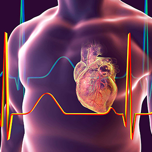 CSU big questions Can you predict a heart attack