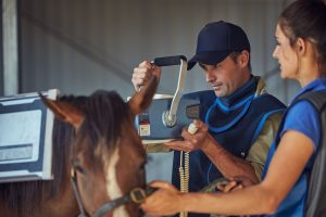 Andrew Lamont providing veterinary treatment to a horse