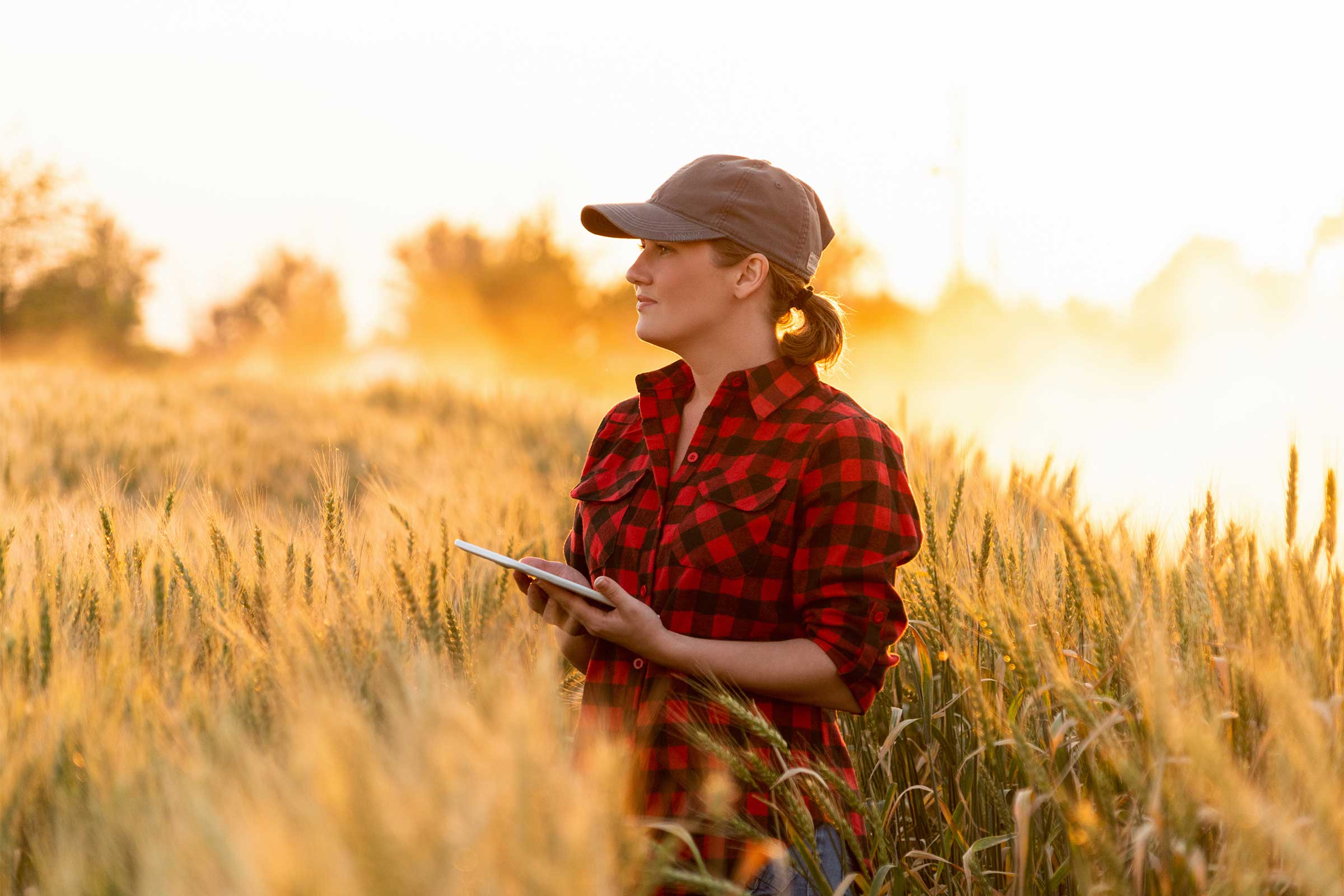 Woman standing in a field suing a tablet to perform geospatial science equations