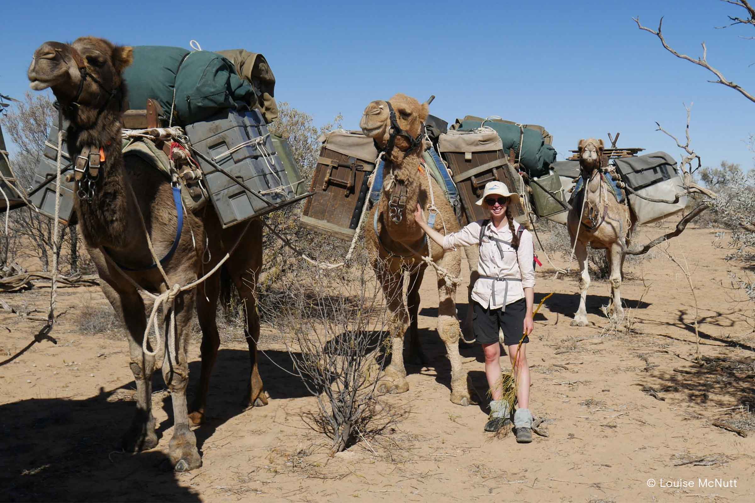 Charles Sturt student with camels in the desert on a fieldwork trip