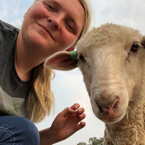 Charles Sturt Student Rachel Fisher, who received an offer based on her soft skills, next to a sheep