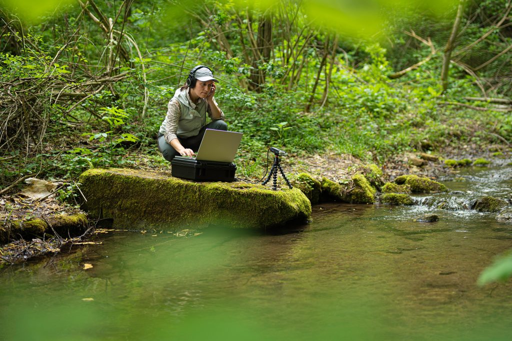 Woman on laptop in a forest reviewing the environment