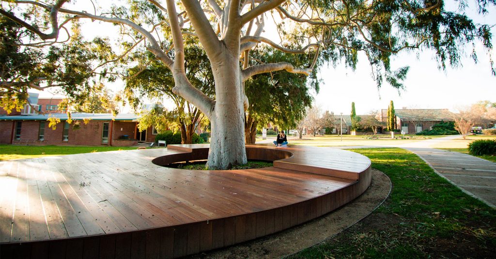 Charles Sturt University Wagga 