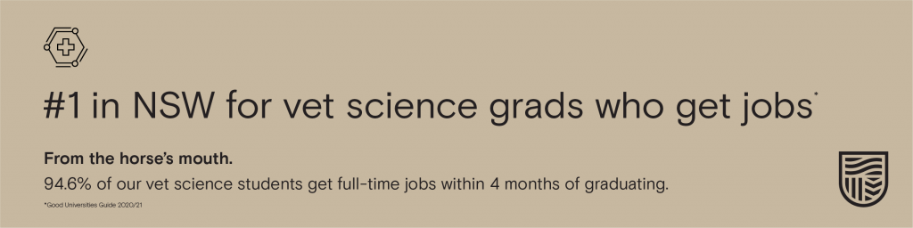 #1 in NSW for vet science grads who get jobs. 94.6% of our vet science students get full-time jobs within 4 months of graduating. 2020/21 Good Universities Guide.