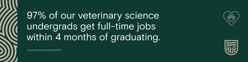 97% of our veterinary science undergrads are employed full-time within 4 months of graduating.*