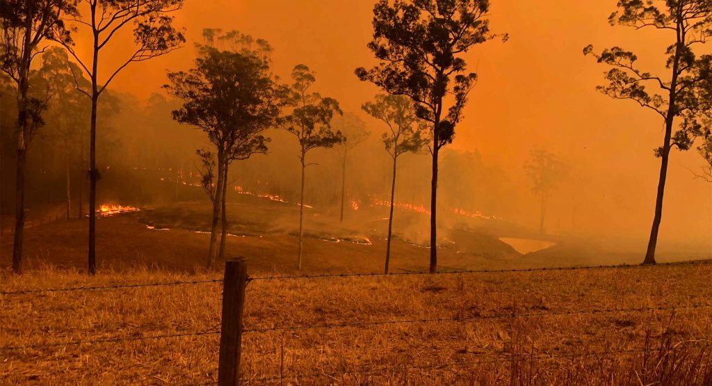 Farmland burning
