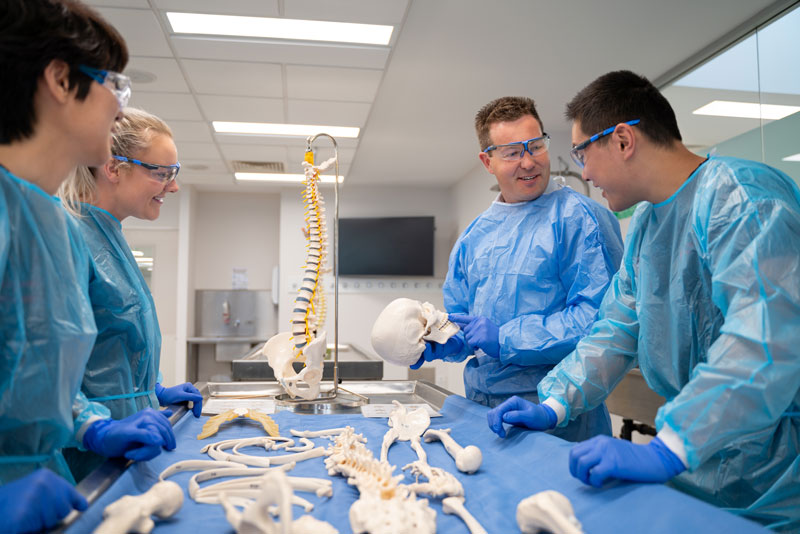 Medicine hands-on learning in the anatomy lab.