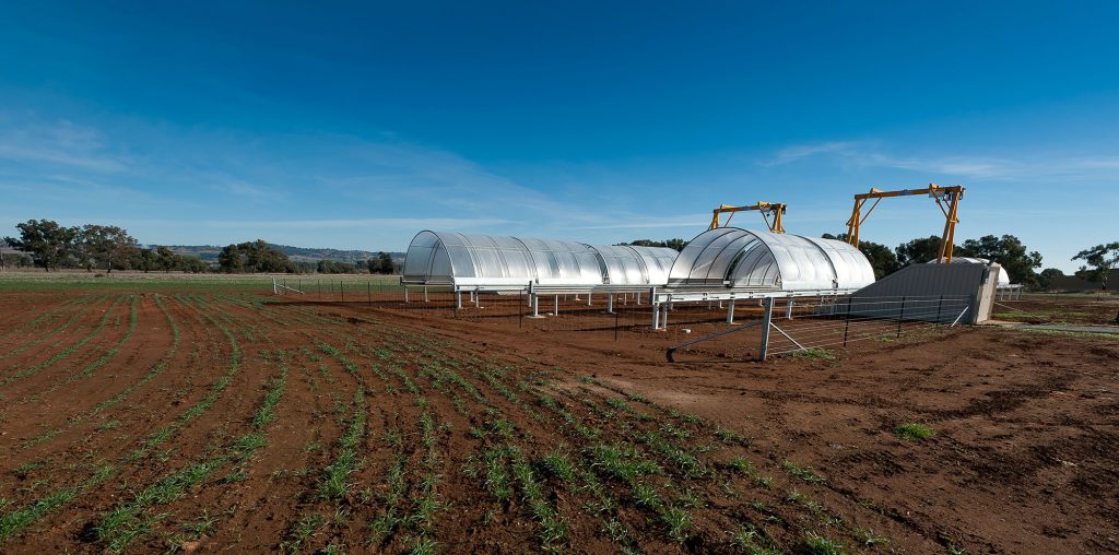 Glasshouses on an arable field, representing a career in agriculture