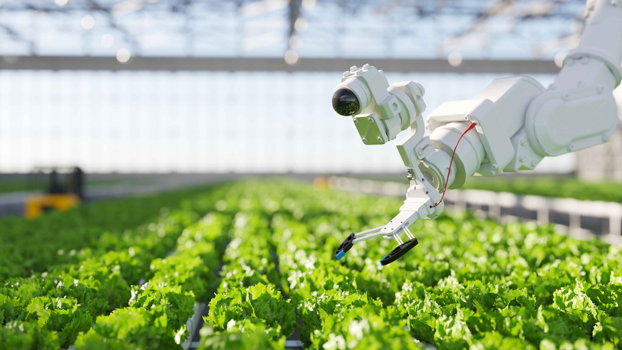 Artificial intelligence technologies: good and bad? | Insight