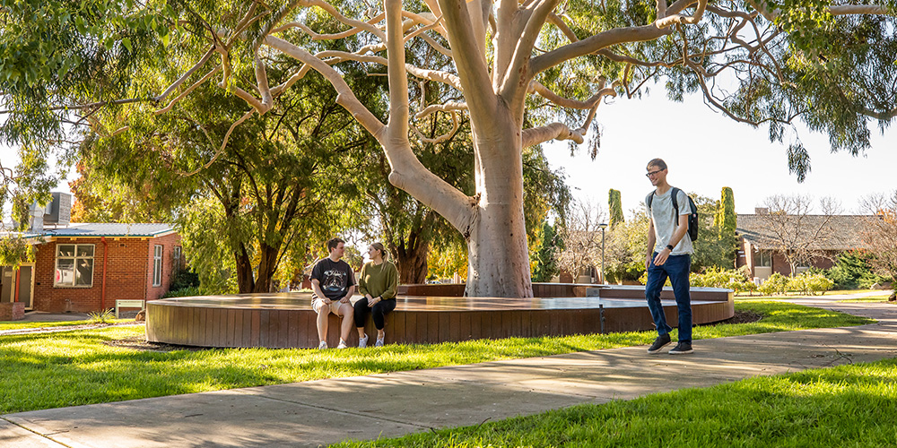 Students walking on Wagga Wagga campus