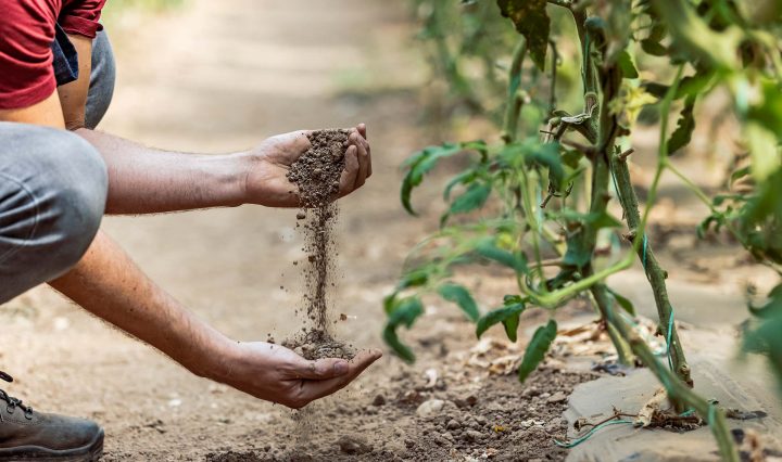 A farmer running soil through their hands