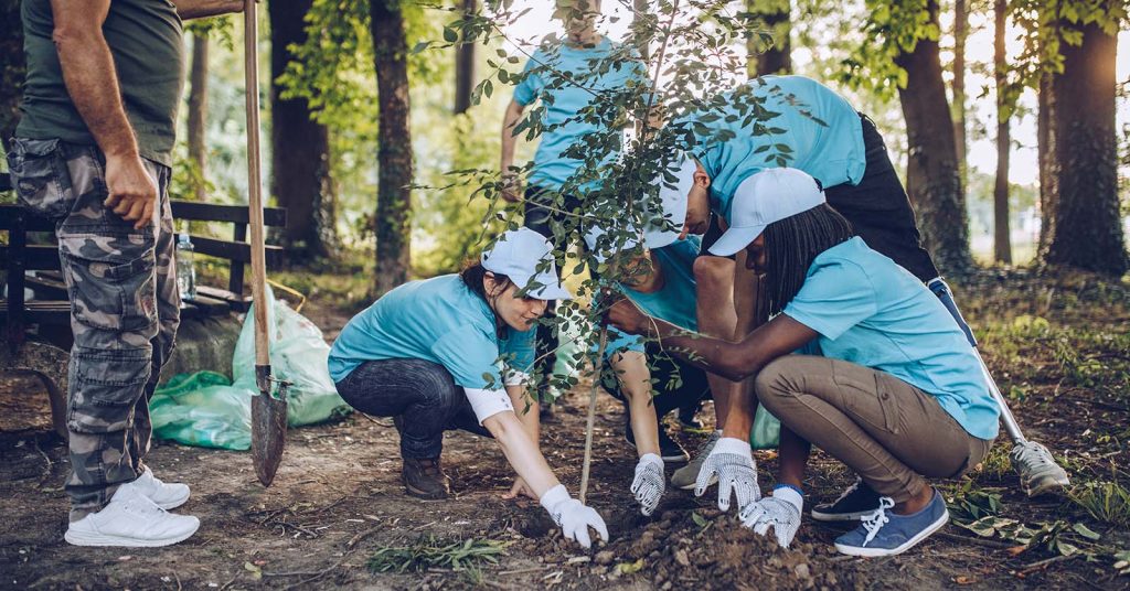 A group of people planting a tree
