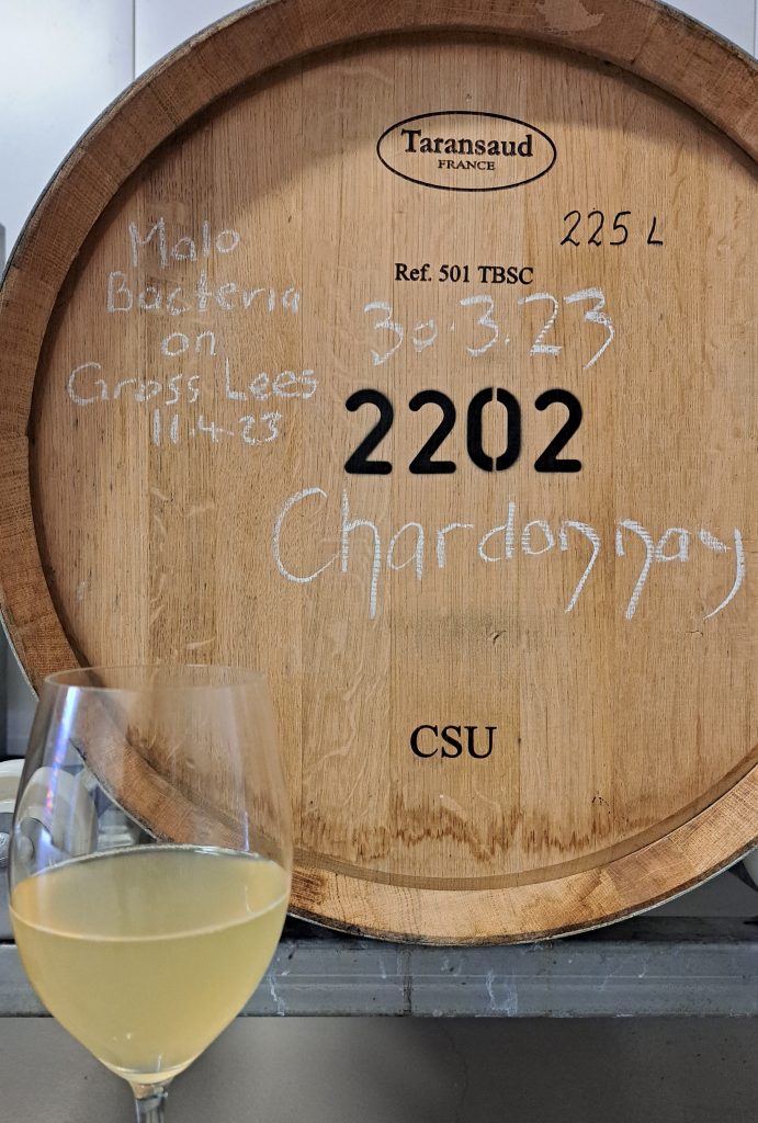 Charles Sturt University wine barrel.