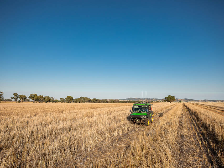 ATV in wheat field