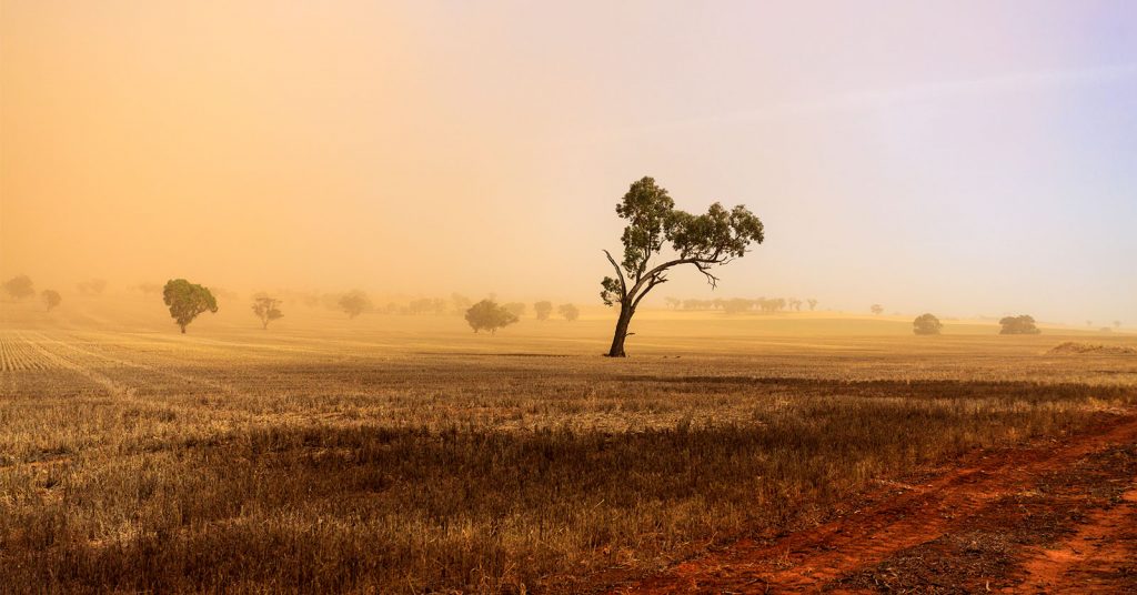 Dust storm blowing over the agricultural fields between Wagga Wagga and Temora, New South Wales

