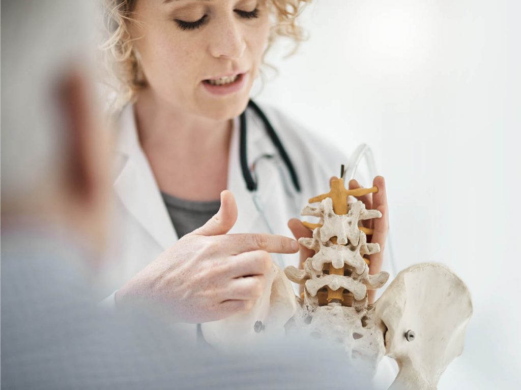 Woman with a model of a spine