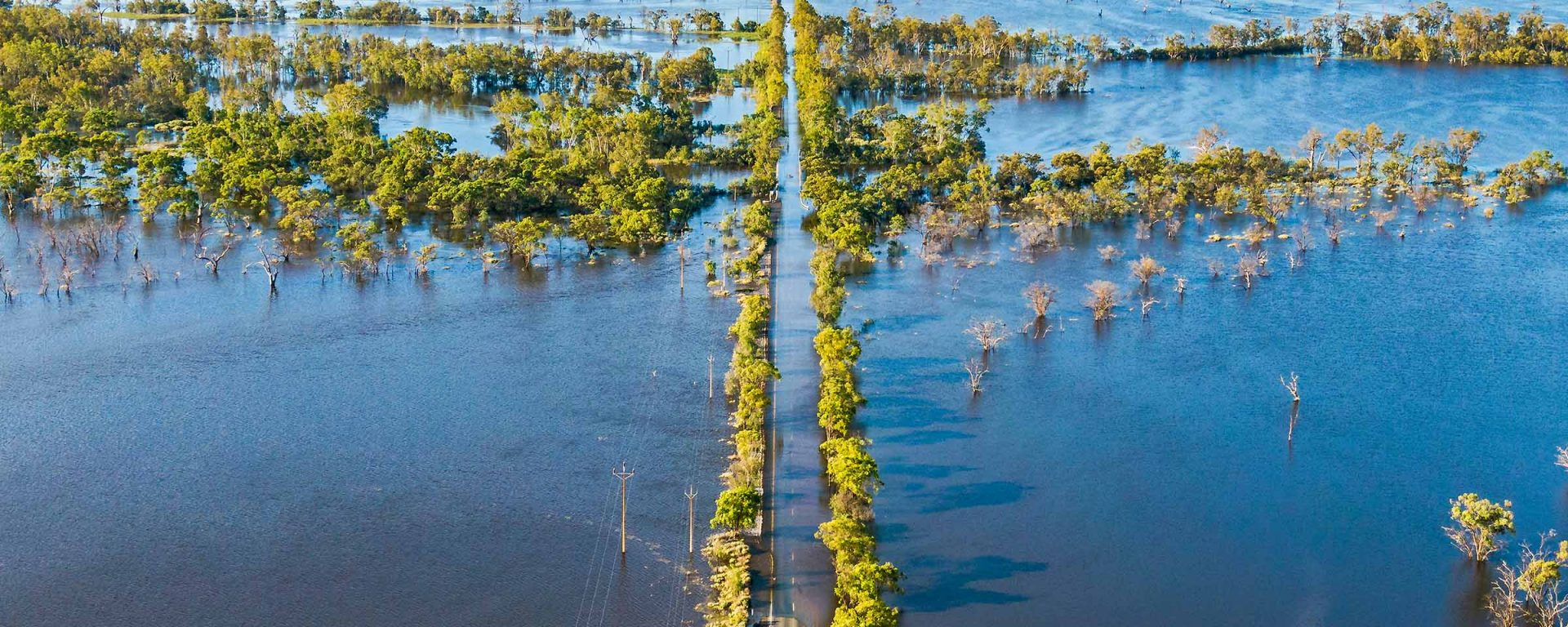 Aerial view of flooded tree line on River Murray in South Australia