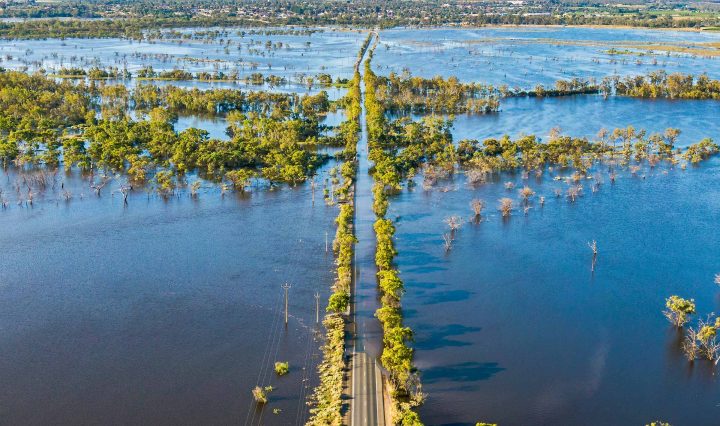 Aerial view of flooded tree line on River Murray in South Australia