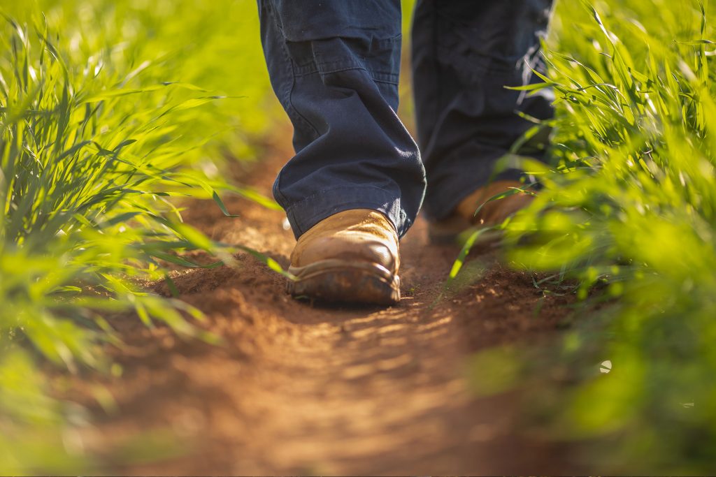 Close up of shoes walking in field