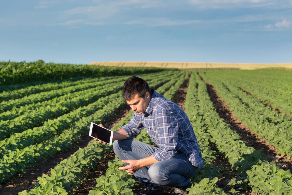 Man with ipad in agricultural field