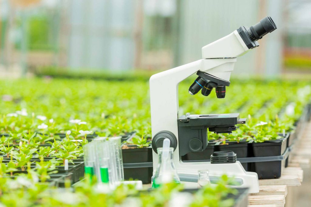 Microscope amid plants, which can be part of a career in microbiology