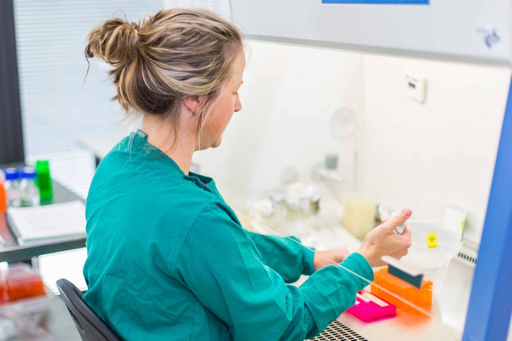 Female microbiologist using a pipette in a laboratory