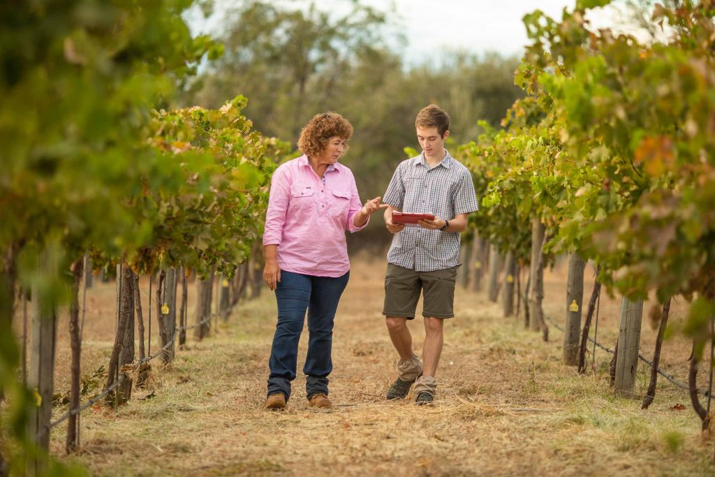 
A woman is walking beside a young man through a vineyard, appearing to teach him about wine. The lush vineyard stretches in the background, creating a peaceful, educational atmosphere.