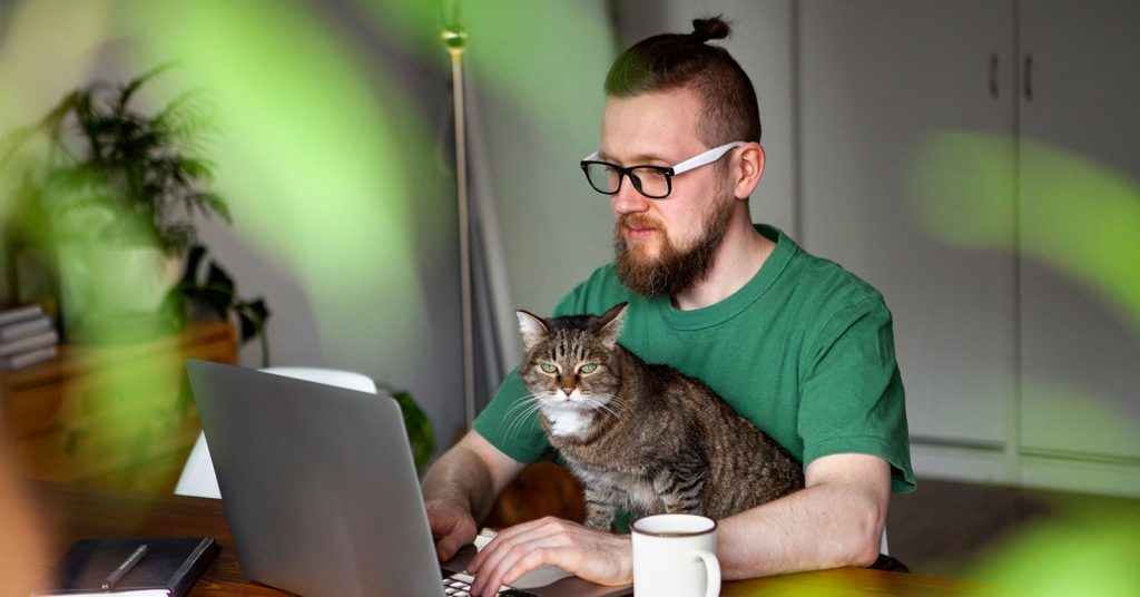 An image of a person sitting in front of a computer studying with a cat sitting on their lap 