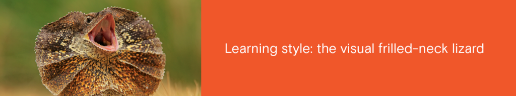 Orange background. Photo of frilled-neck lizard on the left, and on the right the words: Learning style: the visual frilled-neck lizard