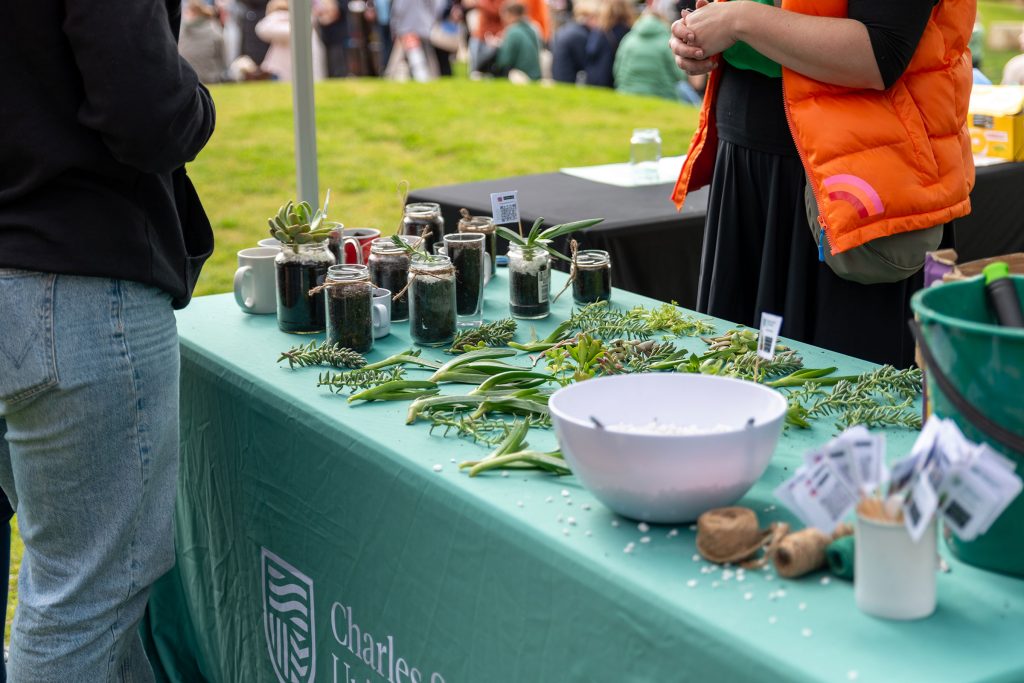 Two people conversing, with plants on the tables in front of them.