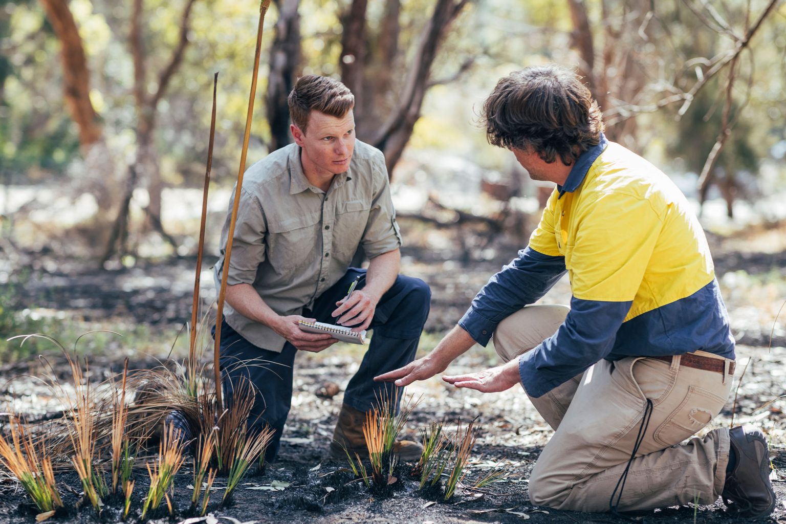 What is an internship, and how do I get one in Australia? | Insight ...