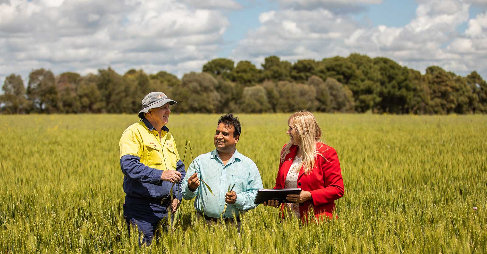 Three people stand in a crop paddock wearing work clothing, looking at crops and a tablet while discussing.