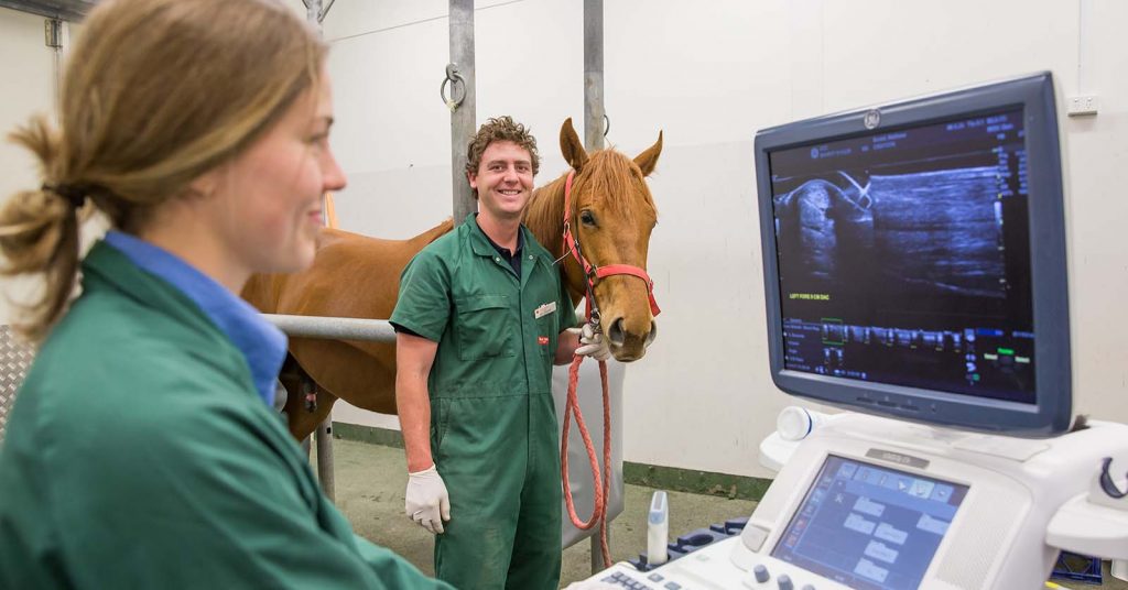 Students standing with a horse while reviewing its scan images on a screen as part of equine research.