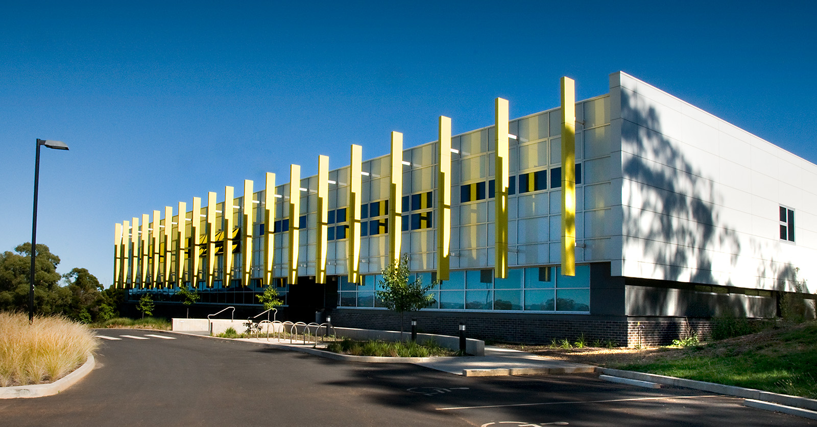 Orange Trees - Charles Sturt University Support