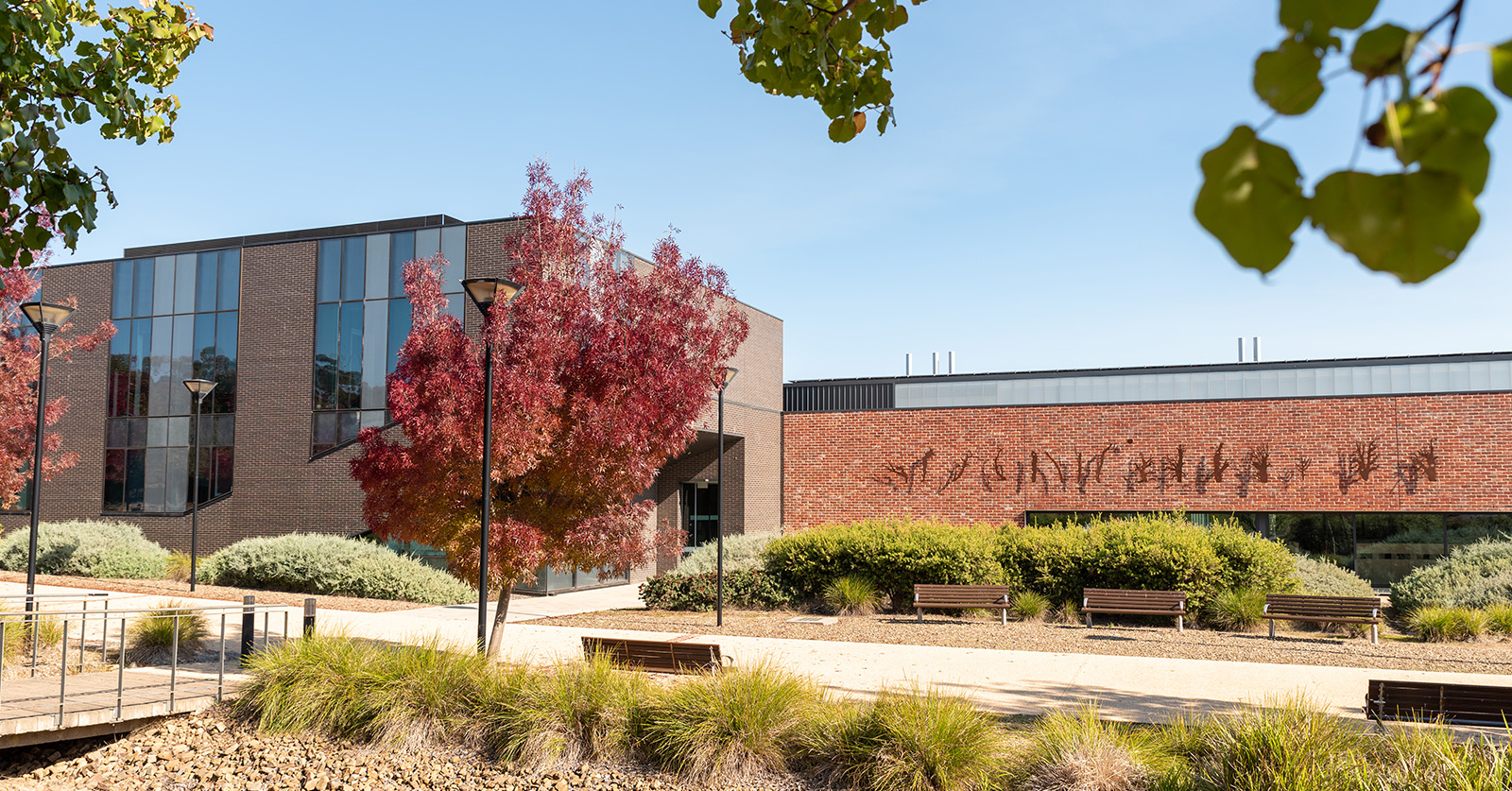 Wagga River - Charles Sturt University Support